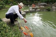 Bilderbuch – Tilo Gragert in seinem Japanischen Bonsai-Garten in Ferch.