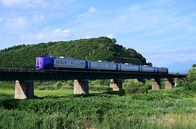 Mit dem Zug ... – Der "Lavendelexpress": Der Sonderzug fährt nur im Sommer von Sapporo zu den Blumenfeldern Furanos.