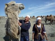 GEO Reportage – Die kasachischen Kamelhirten sind moderne Nomaden. Sie leben in und von der Wüste, wie einst Jahrhunderte lang ihre Vorfahren.