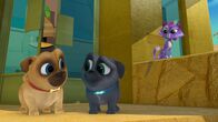 Welpen Freunde – L-R: Rolly, Bingo, Hissy