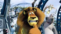 Madagascar 2 – "Madagascar 2", Die New Yorker Zootiere machen sich nach ihrem Abenteuer in Madagaskar auf die Heimreise in den Big Apple. Die Pinguine machen ein Flugzeugwrack startklar - und ab geht's! Über Afrikas Savanne macht das Flugzeug nicht mehr mit. Nach einer atemberaubenden, aber bravourösen Bruchlandung wähnen sich Löwe Alex, Zebra Marty, Nilpferddame Gloria und Giraffe Melman im Paradies. Als Alex in dem Anführer der Tiere seinen Vater erkennt, verfolgt Rivale Makunga bereits finstere Intrigenpläne.