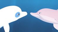 Zoom - Der weiße Delfin – Zoom (l.) hat vor der Insel Maotou einen rosa Delfin getroffen und sich gleich mit ihm angefreundet.