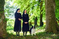 Um Himmels Willen – Um Himmels Willen (2020)