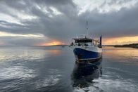 Giganten – Forschungsboot in der Bucht