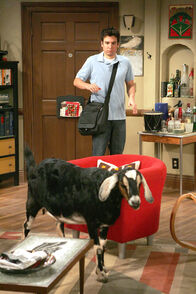 How I Met Your Mother – How I Met Your Mother (2012)