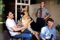 Kommissar Rex – Rex, Brandtner (Gedeon Burkhard, l.), Böck (Heinz Weixelbraun, r.) und Kunz (Martin Weinek, M.) diskutieren ihren neuen Fall.