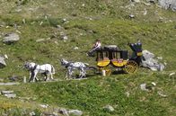 Mythos Gotthard - Pass der Pioniere – Im 19. Jahrhundert verbinden die Kutschen der Gotthardpost erstmals die Menschen im Norden und Süden mit täglichem Postverkehr.