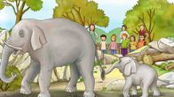 Meine Freundin Conni – Ein Ausflugstag im Kindergarten führt Conni in den Zoo. Dort lernt Conni Wissenswertes über große und kleine Tiere.