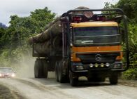 Der Äquator - Breitengrad der Extreme – Die Regierung von Sarawak hat die Lizenz zum Abholzen einer der letzten Urwälder der Penan bereits vergeben. Das Fällen undAbtransportieren der Urwaldriesen ist angelaufen.