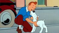 Tim und Struppi – Struppi eilt Tim mutig zur Hilfe und beschützt ihn vor skrupellosen Gangstern.