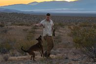 Dog - Das Glück hat vier Pfoten – Lulu the Belgian Malinois und Channing Tatum als Biggs