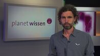 Planet Wissen – Wandern hat erstaunliche Wirkungen auf die Psyche und das Herz-Kreislauf-System: Es stabilisiert die Knochen, hilft gegen Stress und verschafft neue Erfahrungen. Über die vielen Gründe für den Wander-Trend spricht Dr. Jens Badura, Bergwanderführer und Philosoph.