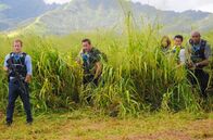 Hawaii Five-0 – Ein neuer Fall wartet auf das Team: (v.l.n.r.) Danny (Scott Caan), Steve (Alex O'Loughlin), Kono (Grace Park), Chin (Daniel Dae Kim) und Grover (Chi McBride) ...