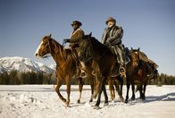 Django Unchained – Während ihrer Suche nach Broomhilda treffen die beiden Kopfgeldjäger Dr. King Schultz (Christoph Waltz, r.) und Django (Jamie Foxx, l.) auf allerlei Gesindel und rassistische Großgrundbesitzer - und hinterlassen eine Schneise der Gewalt ...