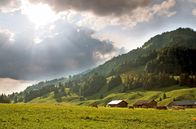 Heimat in den Alpen – Der Alpsommer auf dem Vorsäß Schönenbach im Bregenzerwald.