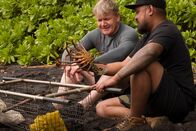 Gordon Ramsay: Kulinarische Abenteuer – Hawaii - (L to R) Gordon Ramsay and chef, Sheldon Simeon, with a freshly caught spiny lobster.