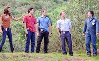 Hawaii Five-0 – Ermitteln in einem neuen Mordfall: (v.l.n.r.) Kono (Grace Park), Chin (Daniel Dae Kim), Steve (Alex O'Loughlin), Danny (Scott Caan) und Max (Masi Oka) ...