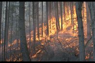 360° - Geo-Reportage – Die Forstfeuerwehr auf Korsika will die verheerenden Waldbrände durch gezielt gelegte Feuer verhindern.