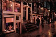 Red Light – Im Herzen des Prostitutionsmilieus wird die Untersuchung skandalöse Geschichten aufdecken.
