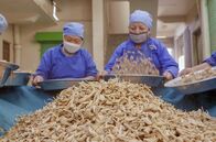 GEO Reportage – Rettich, ein Rohstoff der tibetischen Medizin