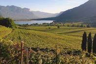 Südtirol – Blick auf den Kalterer See, der einer der wärmsten Badeseen der Alpen ist und in einem großen Weinanbaugebiet liegt.