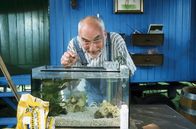 Löwenzahn Classics – Im Aquarium versucht sich Peter Lustig (Peter Lustig) als Perlmuschelzüchter.