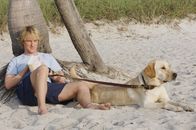 Marley & ich – MMKS-29 John (Owen Wilson) takes advantage of one of Marley’s infrequent mellow moments.MMKS-29 John (Owen Wilson) takes advantage of one of Marleyâ€™s infrequent mellow moments.