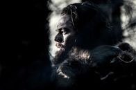The Revenant - Der Rückkehrer – The Revenant - Der Rückkehrer (2015)