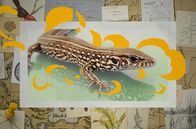 Darwin-Express - Evolution in Rekordzeit – Di, 21.10., 02:45 Uhr