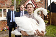Inspector Barnaby – DS Ben Jones (Jason Hughes), DCI John Barnaby (Neil Dudgeon) und Ralph Ford (James Dreyfus).