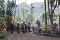 Hawaii Five-0 – Hawaii Five-0 (2017)