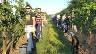 Winzerlegenden – Honza vom Weingut Vitikultur Moser posiert für ein Foto