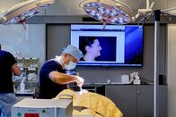 Mona mittendrin – Mona mittendrin Botox, Brust-OP und Nasenkorrektur – Wie weit gehen wir für Schönheit? Farid Rezaeian bei einer Nasen-OP seiner Patientin Silvana 2024 Copyright: SRF