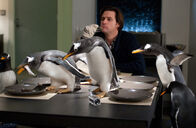 Mr. Poppers Pinguine – Mr. Poppers Pinguine (2011)