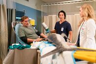 The Good Doctor – The Good Doctor (2019)