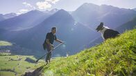 Ich, Bauer – Auf der Alm passt der Hund der Falkners auf alles auf