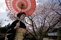 Atlas – Maiko Ichi Mame "the Blogging Maiko" walks in a Japanese Garden at Nijo Castle in Kyoto.