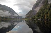 Der Wächter der Geisterbären – In einem Labyrinth aus Inseln und Fjorden, überzogen mit uralten Bäumen, lebt Moksgmol, der Geisterbär.