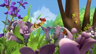 Die Biene Maja – Eine Wildbiene sammelt Pollen.