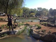 Der Pool-Profi – Behind the scenes of the crew filming the finished pool.