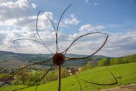 Aufgetischt – Weingärten um Tieschen.
