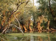 Universum: Donau - Lebensader Europas – Nationalpark Donauauen.