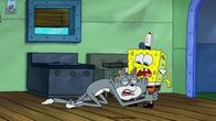 SpongeBob Schwammkopf – SpongeBob Schwammkopf (2020)