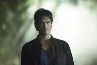 Vampire Diaries – Vampire Diaries (2016)