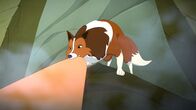 Lassie – Lassie (2010-2018)