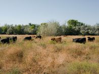 Das Geheimnis der Skinwalker Ranch – Die Aussicht auf Skinwalker-Ranch