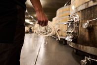 Winzerlegenden – Weingut Heinrich; Detail während Servus TVs Winzerlegenden in Gols, Burgenland, Österreich am 17. Ostober 2023