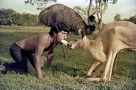 Terra Mater – Archivaufnahme von Escobars Privatfotograf: Pablo Escobar mit einem Känguru.