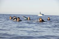 The Reef – Sa, 29.06., 13:10 Uhr