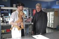 Navy CIS – Neverland" -- NCIS feverishly investigates a global terrorist group that is recruiting teens via the Internet following a deadly bombing overseas that results in an emotional and surprising loss for the team, on the 12th season finale of NCIS,